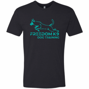 Unisex CVC T-Shirt