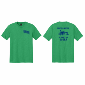 WPES PTO DM130 District® Perfect Tri® Tee